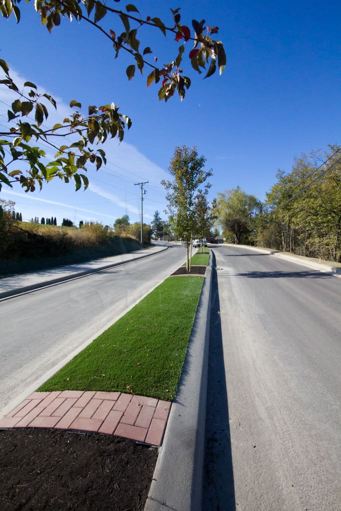 Rollin’ Soy-backed Grass Down the Road Median