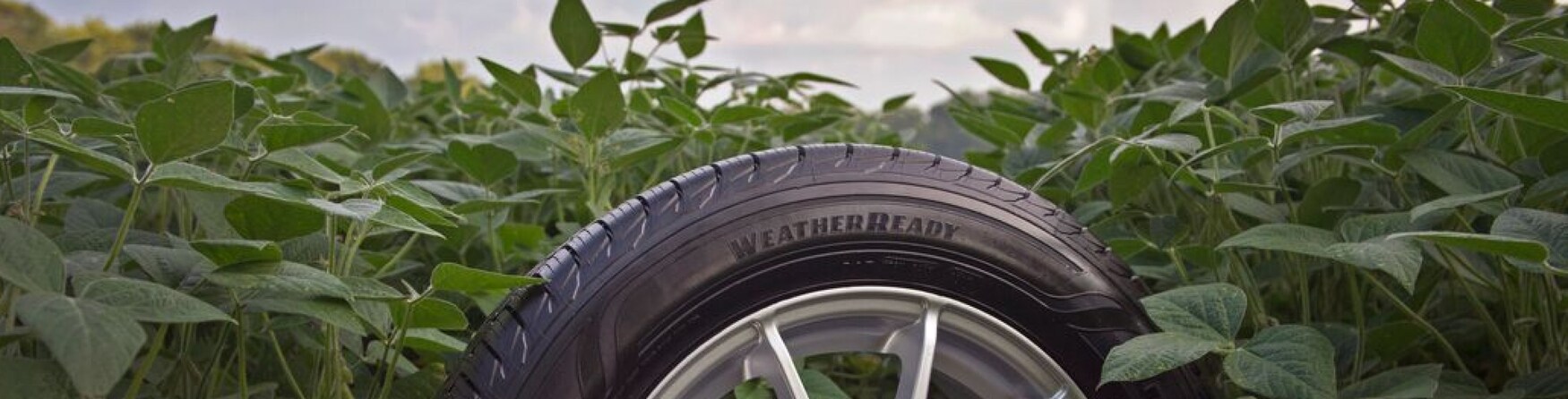 Soy Inside Goodyear’s Sustainability Report